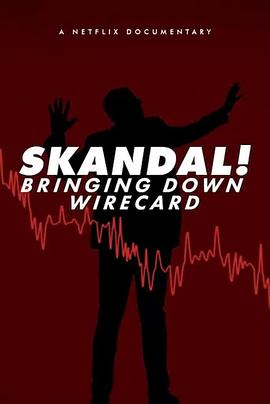金融丑闻：揭发Wirecard诈骗案 Skandal! Bringing Down Wirecard