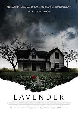 薰衣草 Lavender