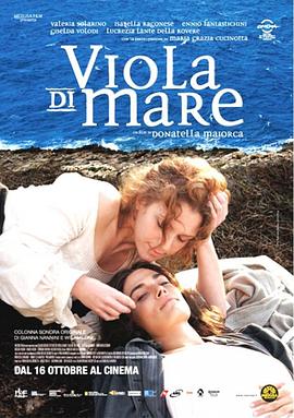 海紫 Viola di mare