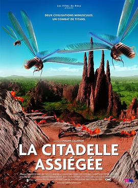 围困城堡 La Citadelle assiégée