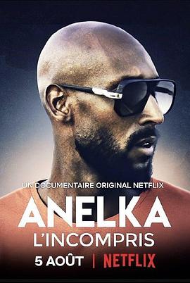阿内尔卡：全是误解 Anelka: L’Incompris