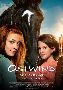 骏马奥斯温4 Ostwind – Aris Ankunft