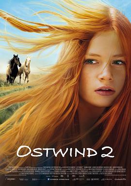 骏马奥斯温2 Ostwind 2