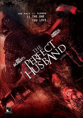 完美丈夫 The Perfect Husband