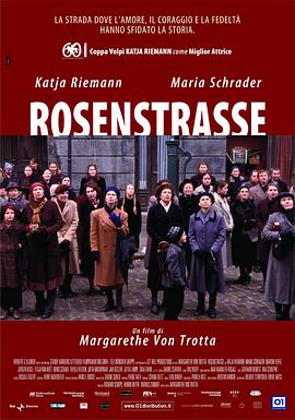 玫瑰围墙 Rosenstraße