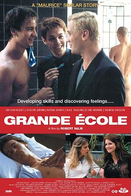 颠覆性学校 Grande école